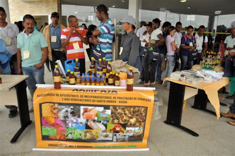 UFRB sedia Encontro de Apicultores e Meliponicultores do Recôncavo Baiano