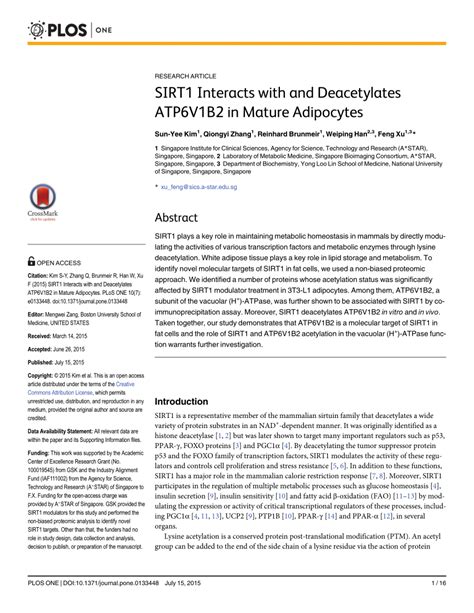 Pdf Sirt Interacts With And Deacetylates Atp V B In Mature Adipocytes