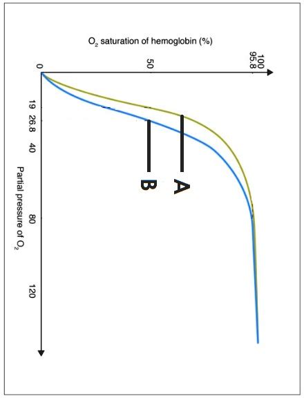 SOLVED: The diagram below shows an oxygen dissociation curve for fetal hemoglobin and maternal ...