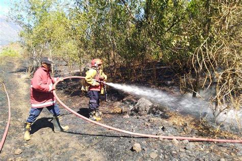 Setengah Tahun Terakhir Karangasem Tangani Lima Kebakaran Lahan