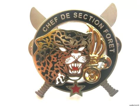 Legion Etrangere Rei Brevet Commando Chef De Section Foret Cefe