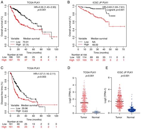 Expression Of Foxm1 And Plk1 Predicts Prognosis Of Patients With