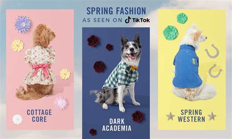 TikTok's Most Popular Trending Dog Fashions for Spring 2022