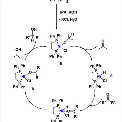 Scheme 2 Proposed Mechanism Of Hydrogen Transfer Reaction Of Carbonyl