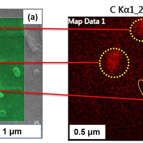 (a) SEM showing region used for EDS elemental mapping and (b) Carbon ...