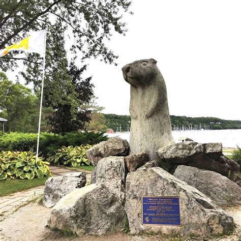 Groundhog Day - February 2 - Wiarton Willie - Wiarton, Ontario, Canada ...