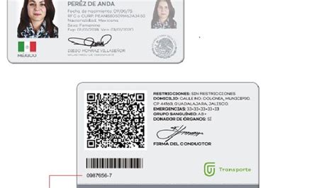 A Partir Del De Agosto Podr S Obtener Tu Licencia De Conducir