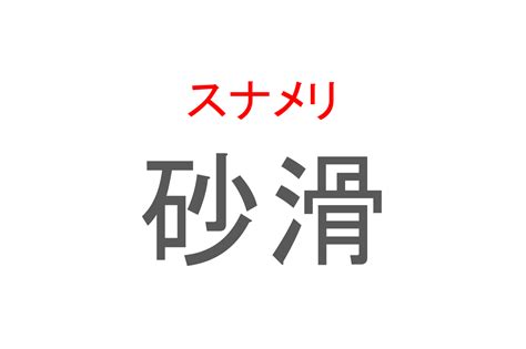 【読めたらスゴイ！】「砂滑」とは一体何のこと！？とてもかわいい海の生き物のことですが・・この漢字を読めますか？ ｜ ガジェット通信 Getnews