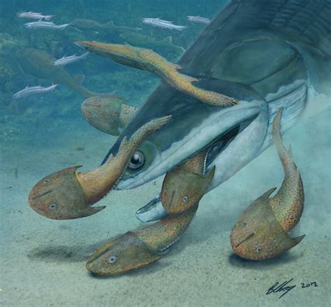 Million Year Old Fish Was Once Earth S Largest Vertebrate Live