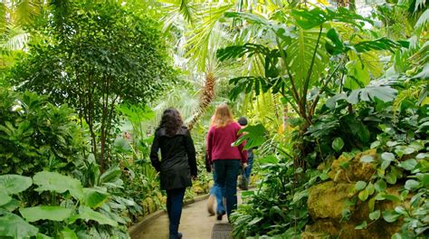 Krohn Conservatory Tours - Book Now | Expedia