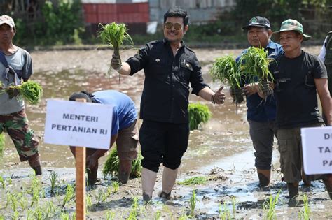 Percepatan Tanam Padi Di Gowa Mentan Syl Minta Daerah Perkuat Pangan