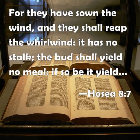 Hosea 87 For They Have Sown The Wind And They Shall Reap The