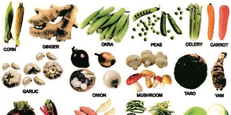 Alphabetical List Of Vegetables | The Garden