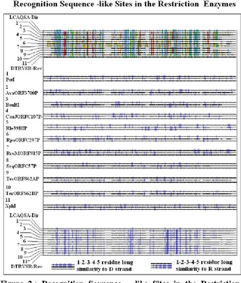 Figure 1 From Recognition Sequences In The Restriction Endonucleases Semantic Scholar