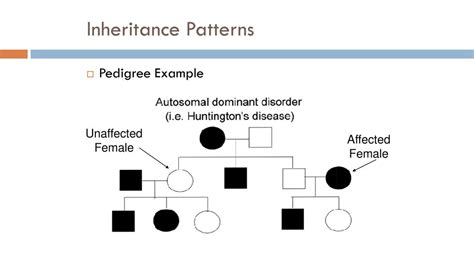 Pedigrees Karyotypes And Genetic Disorders Ppt Download