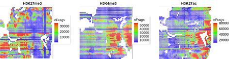 Fig S3 Unique Fragment Counts In Spatial Epigenome Mapping Of E11