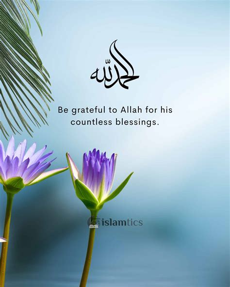 Be grateful to Allah for his countless blessings. | islamtics