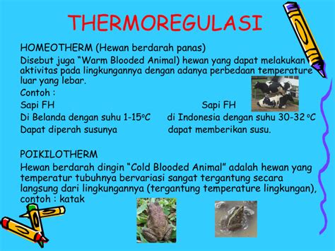 Thermoregulasi