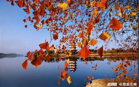 咸宁限定秋景，一处比一处惊艳澎湃号·湃客澎湃新闻 The Paper