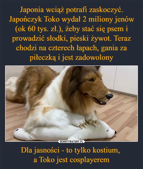 Japonia Wci Potrafi Zaskoczy Japo Czyk Toko Wyda Miliony Jen W