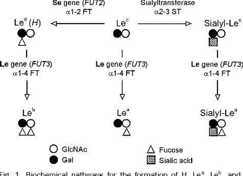 Figure From Reference Values And Biological Variation For Tumor