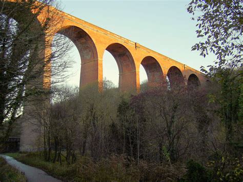 Denemouth Viaduct, Castle Eden Dene | Co-Curate