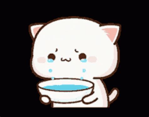 Sad Mochi Peach Cat Crying Meme 