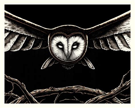 Bird of Prey Art Print - "Barn Owl" - Nicholas Ivins