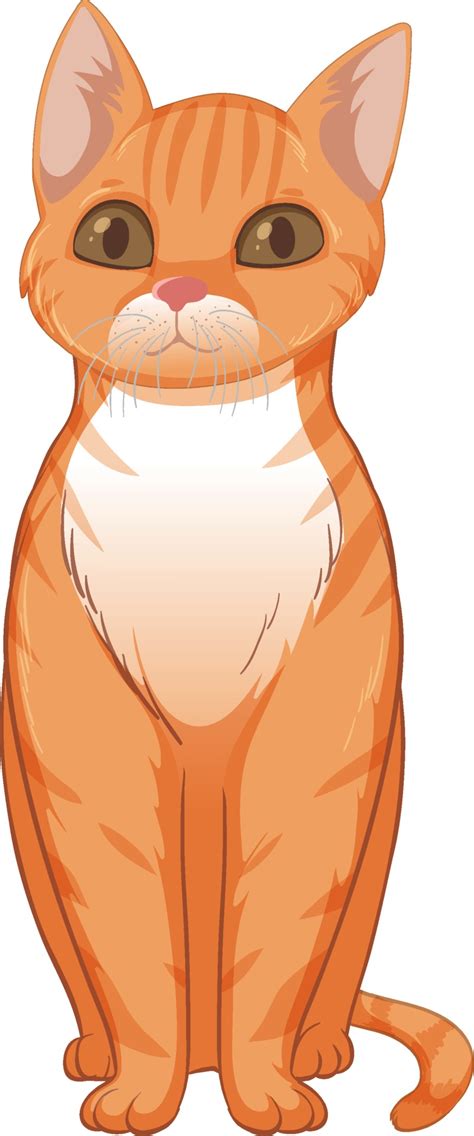 How To Draw An Orange Tabby Cat Really Easy Drawing Tutorial Atelier Yuwaciaojp