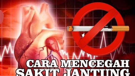 Kematian Tiba Tiba Akibat Penyakit Jantung Bisa Dicegah Ini Tips Dari