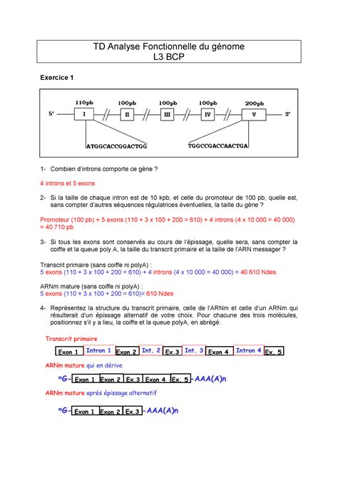 Td Analyse Fonctionnelle Du G Nome Corrig Td Analyse Fonctionnelle