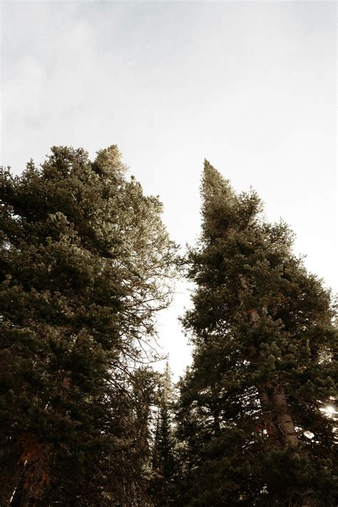 Evergreen Content: Build Content That Lasts and Engages