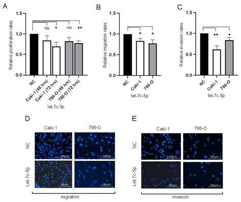 Biomedicines Free Full Text MicroRNA Associated With The Invasive