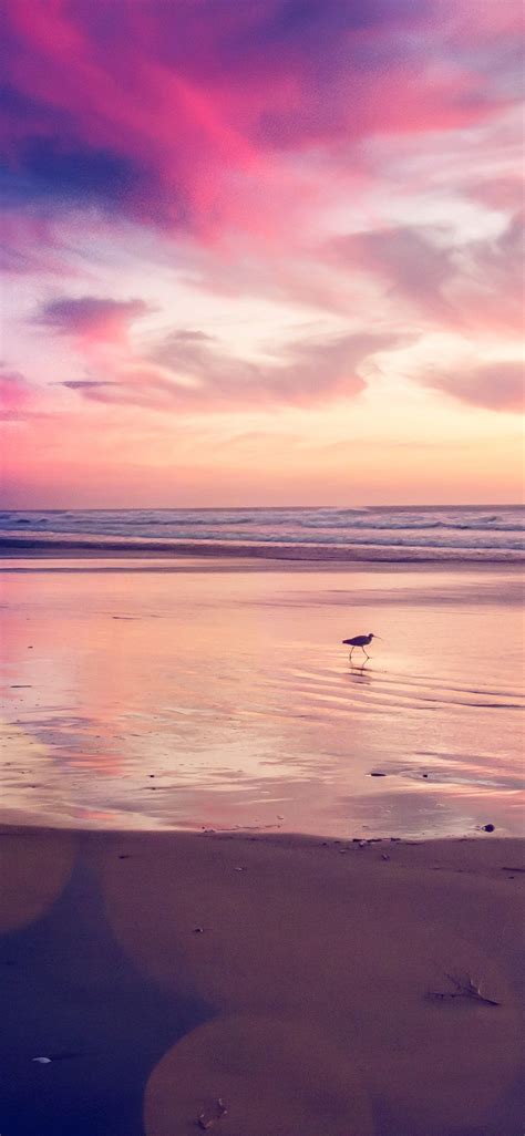 Pink Beach Sunset Wallpapers - 4k, HD Pink Beach Sunset Backgrounds on ...