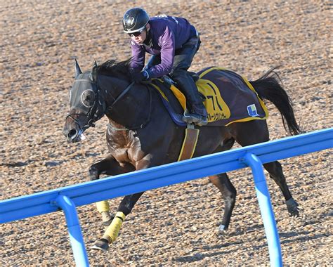 【京都金杯】イルーシヴパンサー G1戦線再浮上だ 楽に鋭伸！美浦wラスト1f11秒2 競馬ニュース