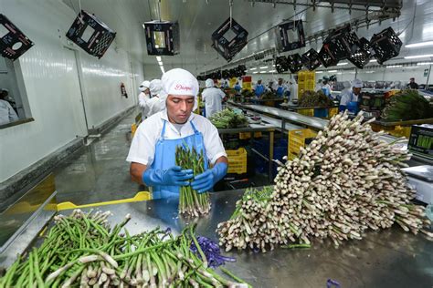 Per Lidera Crecimiento De Env Os No Tradicionales En La Regi N En