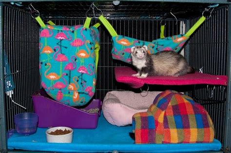 11 DIY Ferret Cage Ideas With Instructions - DIYnCrafty