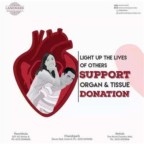 Light Up The Lives Of Others Join The Organ Donation Day Campaign