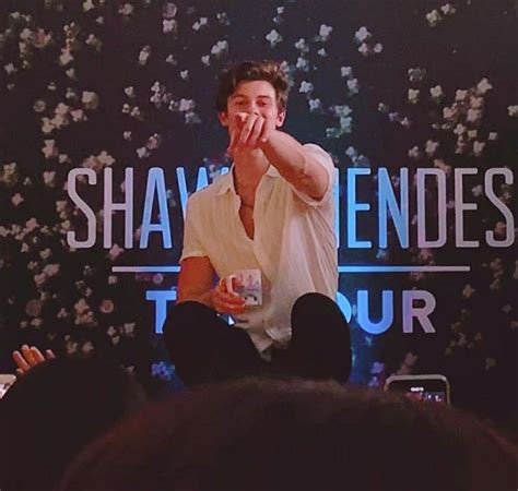 Shawn Mendes Singers Actors Singer Actor