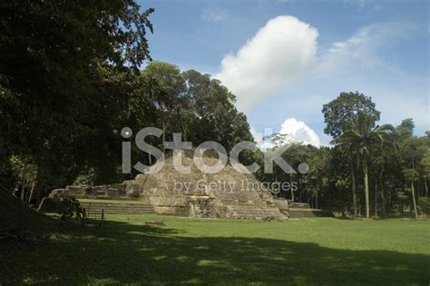 Caracol Belize Stock Photo | Royalty-Free | FreeImages