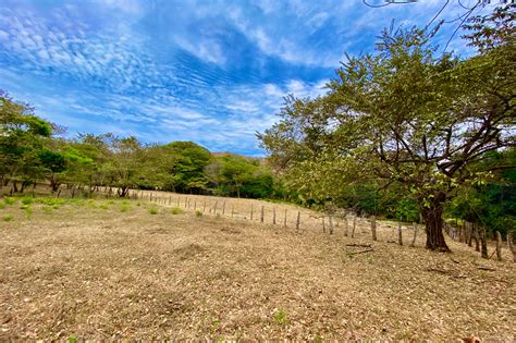 Vistas De Flamingo Lot 25 Large Forested Plot Of Land Minutes From