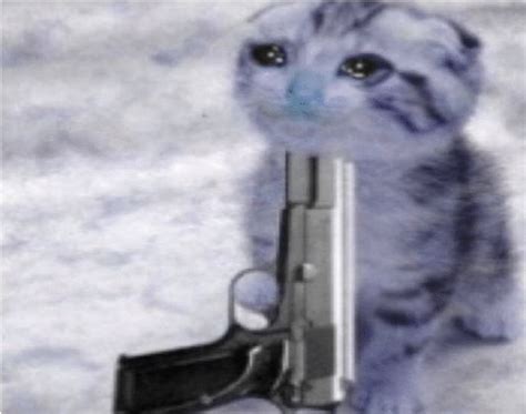 15 + Hilarious Cat With Gun Meme You Will Laugh At Every Time | Kent Info