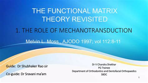 Functional matrix hypothesis revisited 1 | PPT