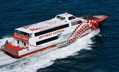 Rottnest Island Adventure Tour with Return Ferry from Perth - Travel ...