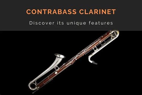The Contrabass Clarinet (a Comprehensive Guide)