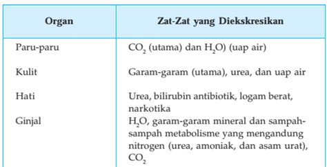 Indikator 19 ~ Erudio Scientia Biology