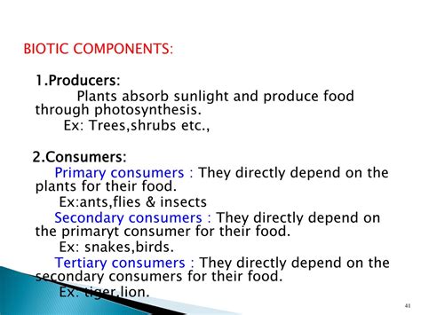 ecosystem  biodiversity powerpoint