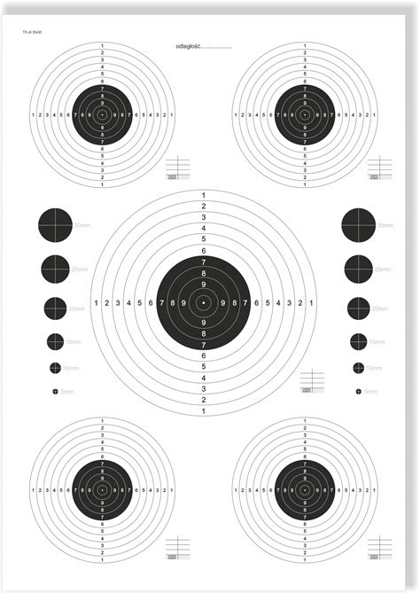 Tarcze strzeleckie TSx5 35x50 cm 100szt wiatrówka 35x50 13459144652