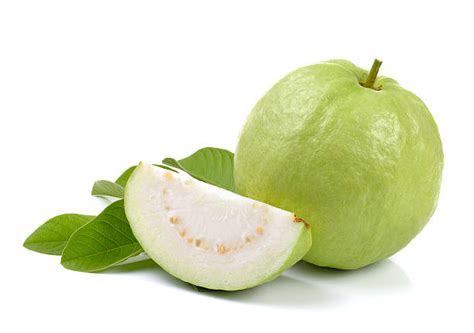 GUAVA - Sync with Nature