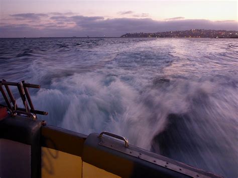 Swimdean — Catalina Channel Swim